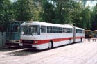 Автобус Ikarus-180